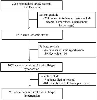 Serum homocysteine level is an independent risk factor for 1-year stroke recurrence in patients with acute ischemic stroke and H-type hypertension: results from the Xi'an stroke registry study of China